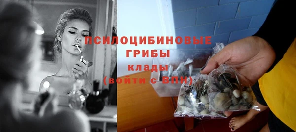 a pvp Арсеньев