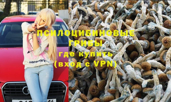 mdpv Аркадак