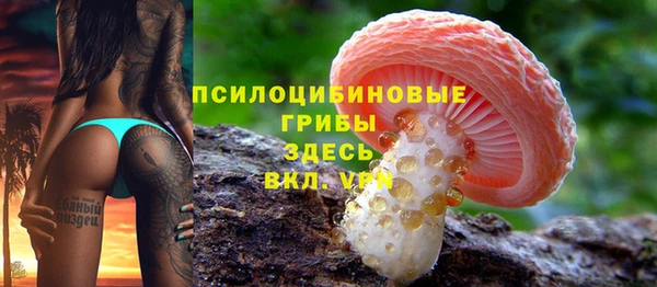 a pvp Арсеньев