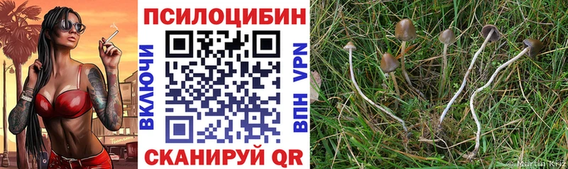 Галлюциногенные грибы GOLDEN TEACHER закладки Туринск